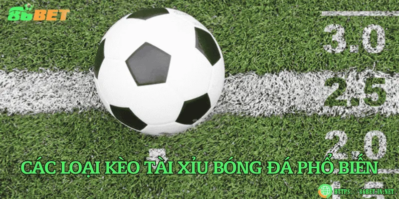 Các loại kèo tài xỉu bóng đá phổ biến