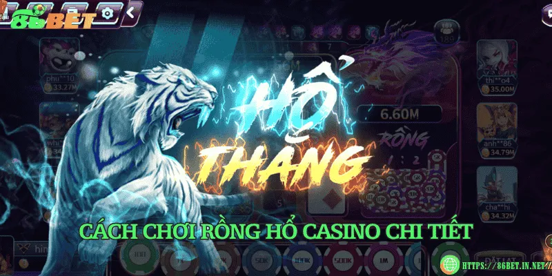 Cách chơi rồng hổ casino chi tiết