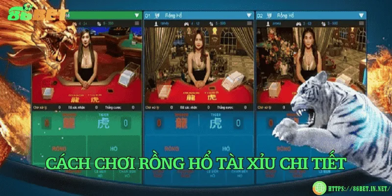 Cách chơi rồng hổ tài xỉu chi tiết