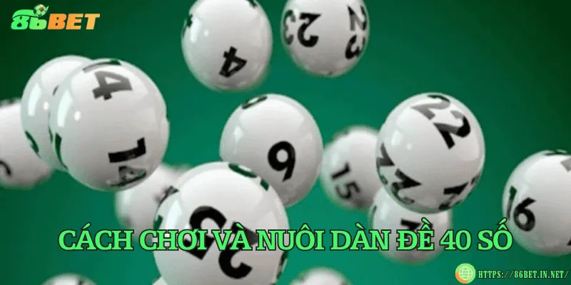 Cách chơi và nuôi dàn đề 40 số