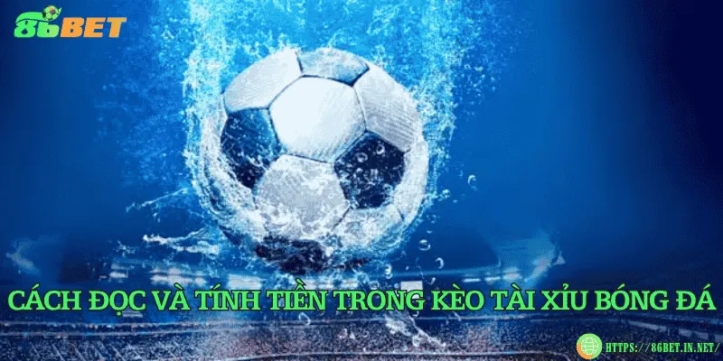 Cách đọc và tính tiền trong kèo tài xỉu bóng đá