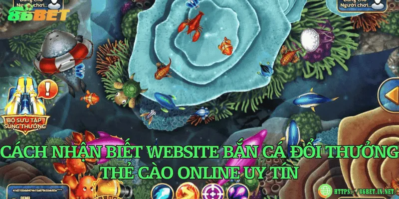 Cách nhận biết website bắn cá đổi thưởng thẻ cào online uy tín